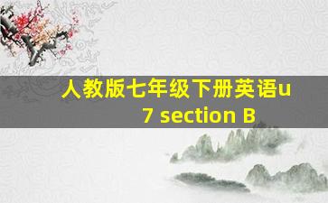 人教版七年级下册英语u7 section B